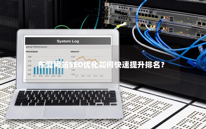 东莞网站SEO优化如何快速提升排名？