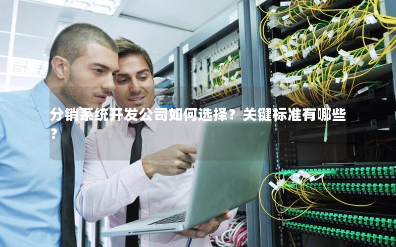 分销系统开发公司如何选择？关键标准有哪些？