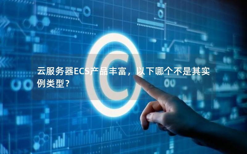 云服务器ECS产品丰富，以下哪个不是其实例类型？