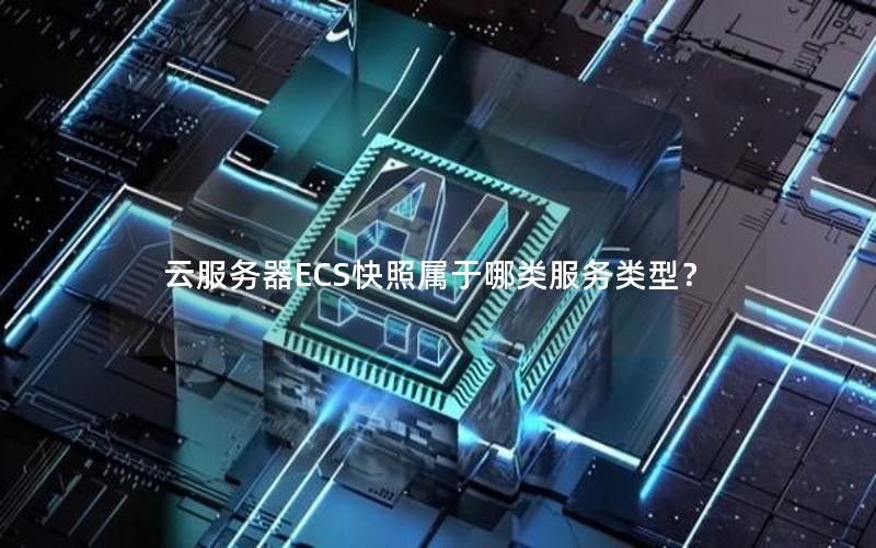 云服务器ECS快照属于哪类服务类型？