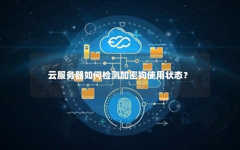 云服务器如何检测加密狗使用状态？