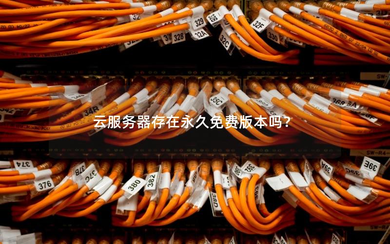 云服务器存在永久免费版本吗？