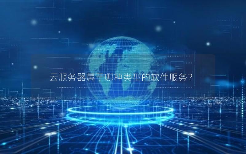 云服务器属于哪种类型的软件服务？