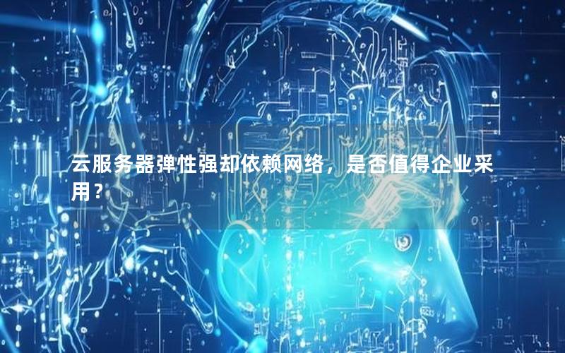 云服务器弹性强却依赖网络，是否值得企业采用？