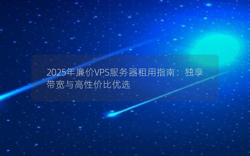 2025年廉价VPS服务器租用指南：独享带宽与高性价比优选