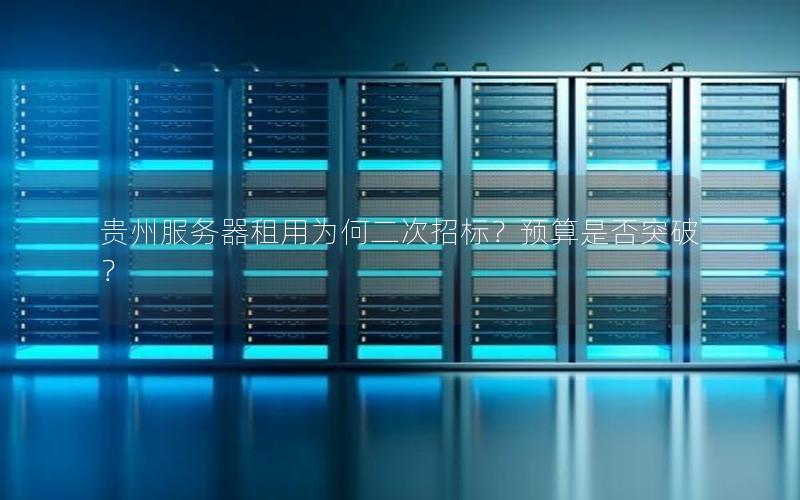 贵州服务器租用为何二次招标？预算是否突破？