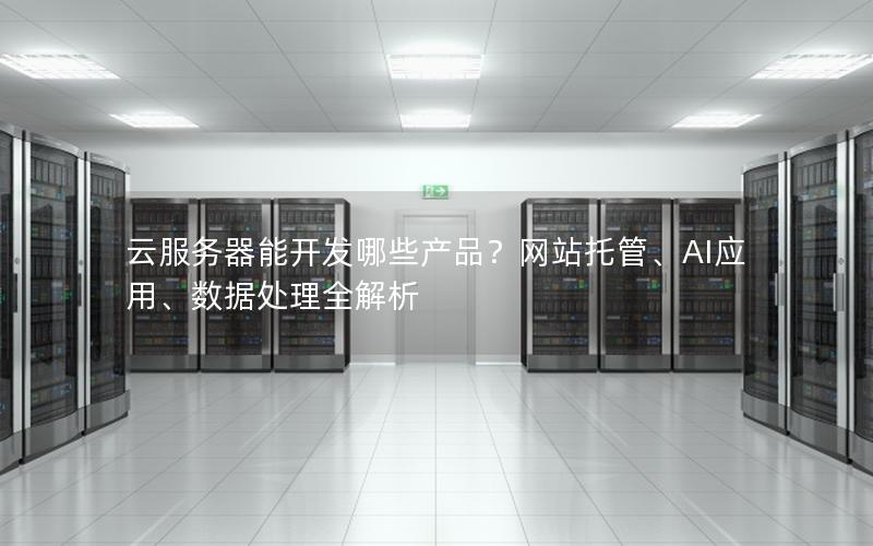 云服务器能开发哪些产品？网站托管、AI应用、数据处理全解析