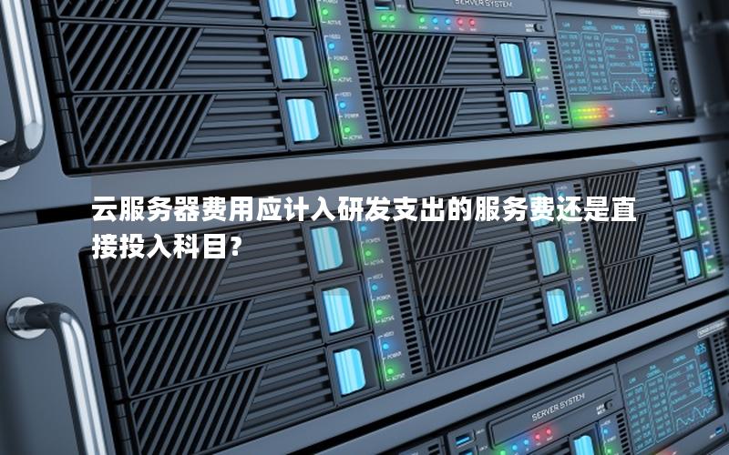 云服务器费用应计入研发支出的服务费还是直接投入科目？
