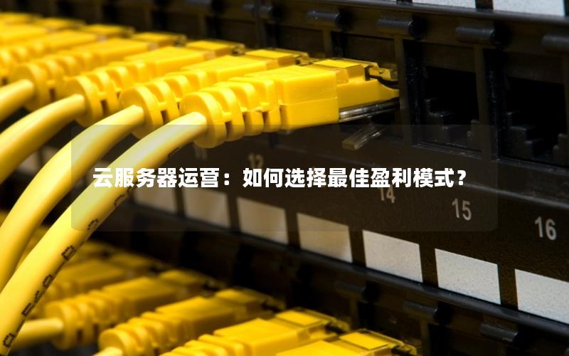 云服务器运营：如何选择最佳盈利模式？