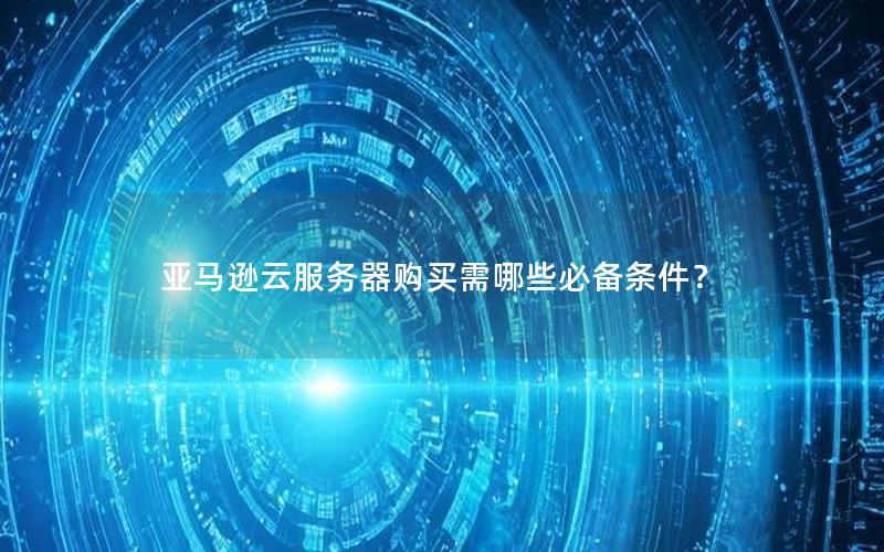 亚马逊云服务器购买需哪些必备条件？