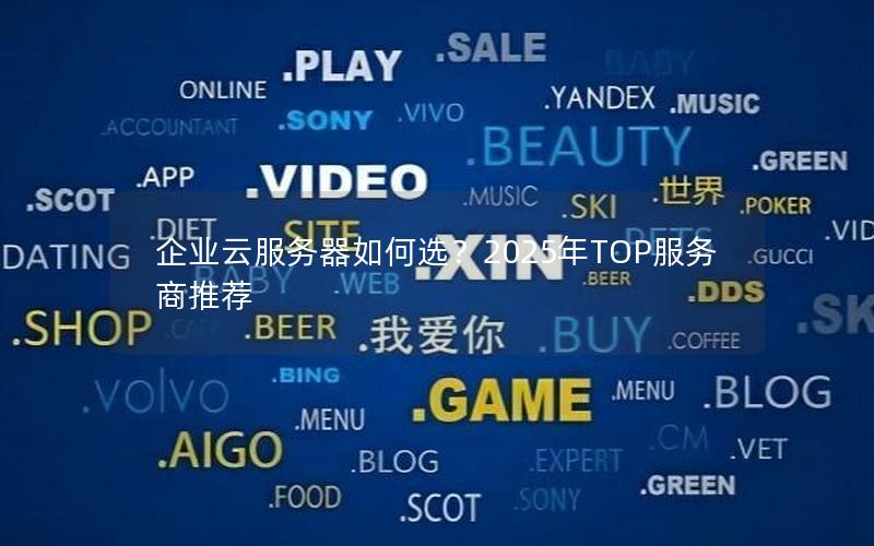 企业云服务器如何选？2025年TOP服务商推荐