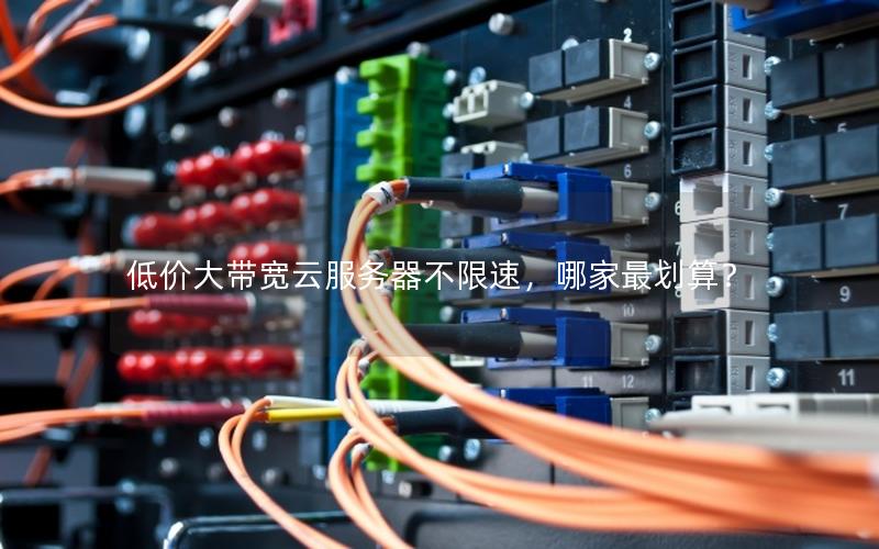 低价大带宽云服务器不限速，哪家最划算？