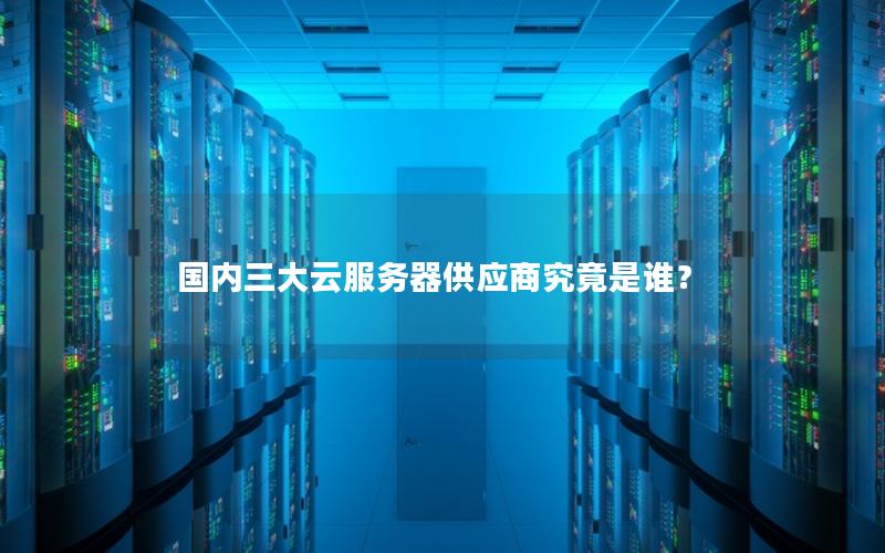 国内三大云服务器供应商究竟是谁？