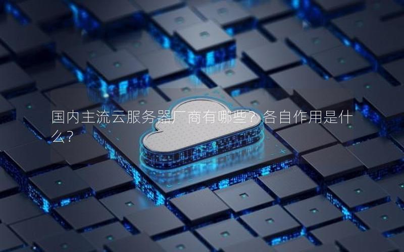 国内主流云服务器厂商有哪些？各自作用是什么？