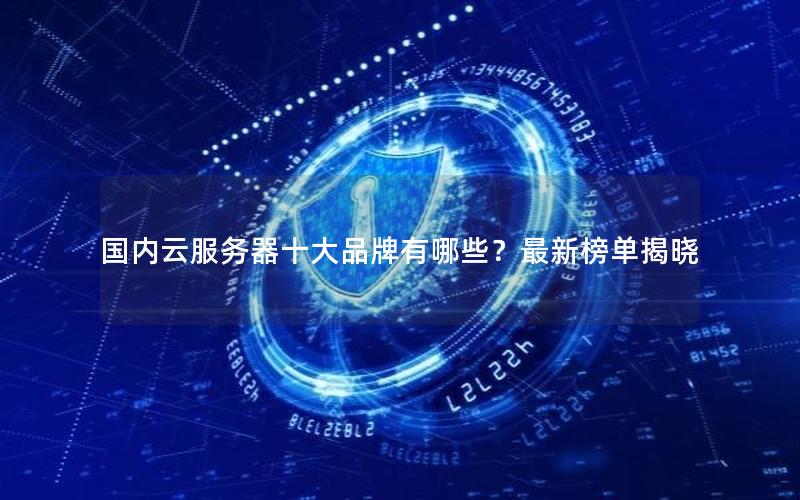 国内云服务器十大品牌有哪些？最新榜单揭晓