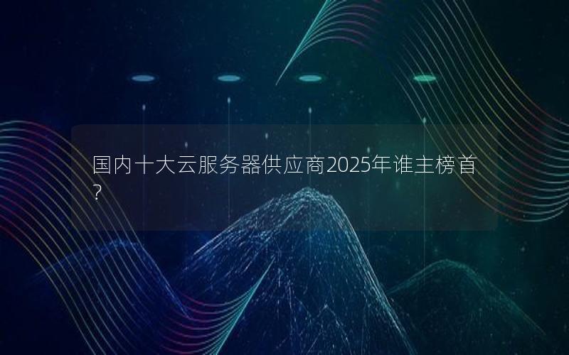 国内十大云服务器供应商2025年谁主榜首？