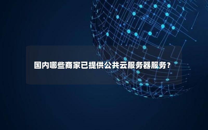 国内哪些商家已提供公共云服务器服务？