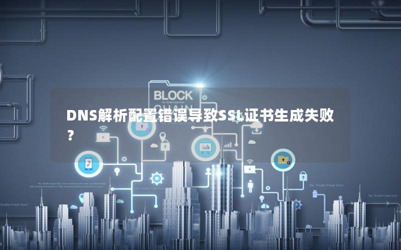 DNS解析配置错误导致SSL证书生成失败？