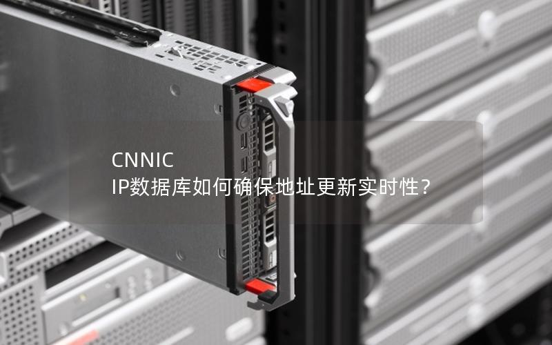 CNNIC IP数据库如何确保地址更新实时性？