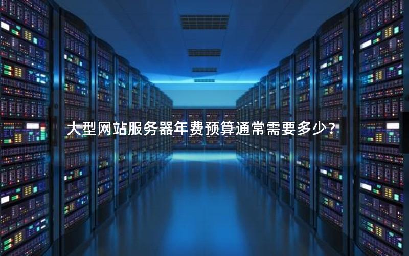大型网站服务器年费预算通常需要多少？