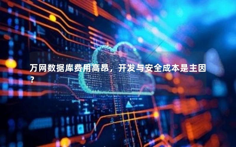 万网数据库费用高昂，开发与安全成本是主因？