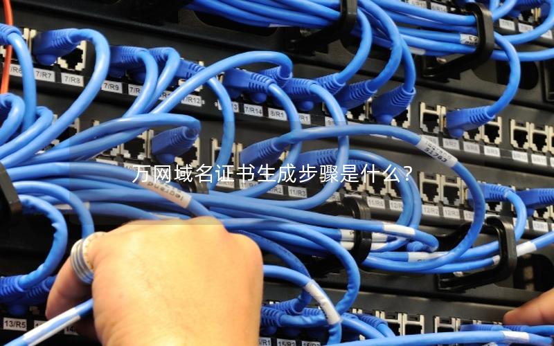 万网域名证书生成步骤是什么？