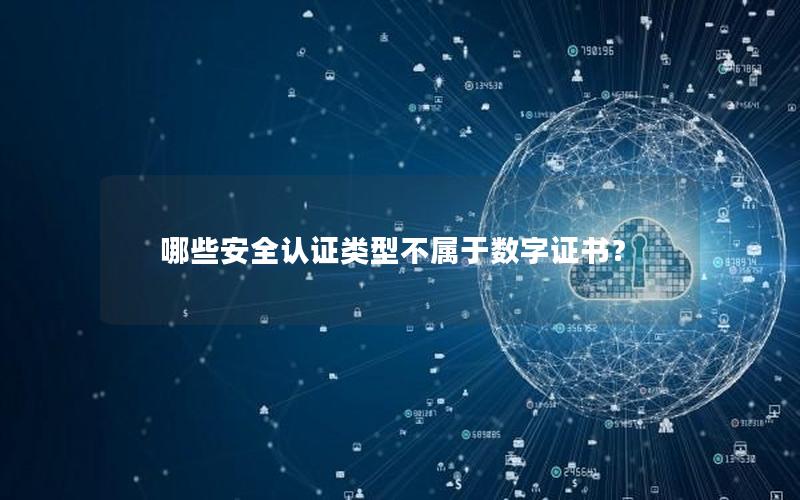 哪些安全认证类型不属于数字证书？