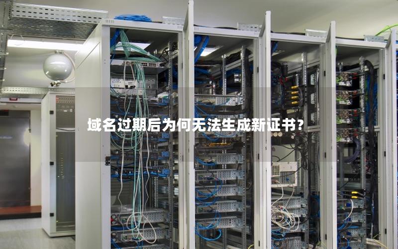 域名过期后为何无法生成新证书？
