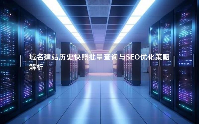 域名建站历史快照批量查询与SEO优化策略解析