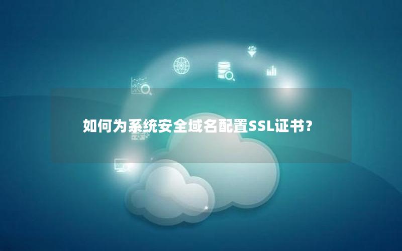 如何为系统安全域名配置SSL证书？