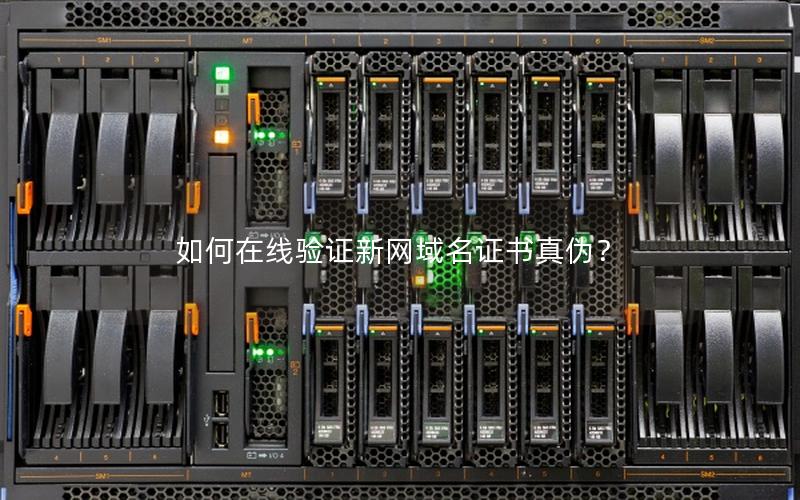 如何在线验证新网域名证书真伪？