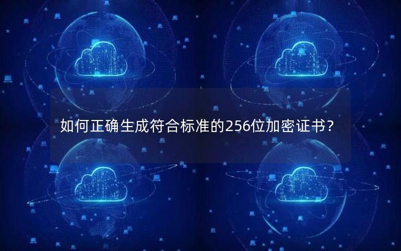 如何正确生成符合标准的256位加密证书？