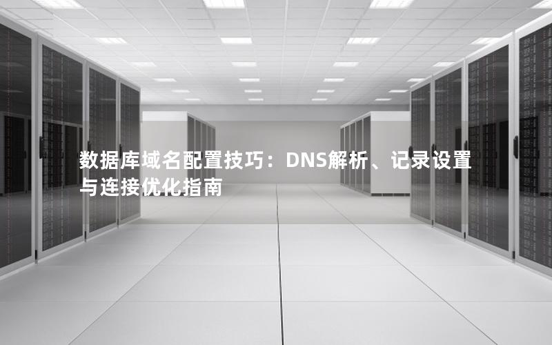 数据库域名配置技巧：DNS解析、记录设置与连接优化指南