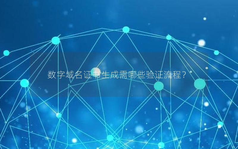 数字域名证书生成需哪些验证流程？
