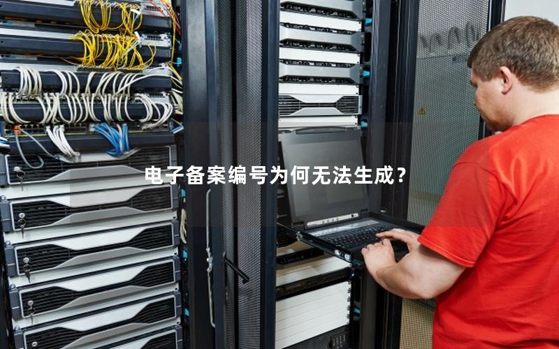 电子备案编号为何无法生成？