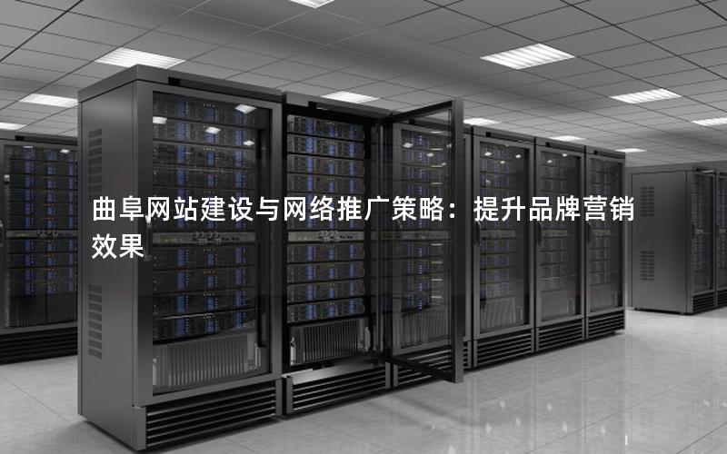 曲阜网站建设与网络推广策略：提升品牌营销效果