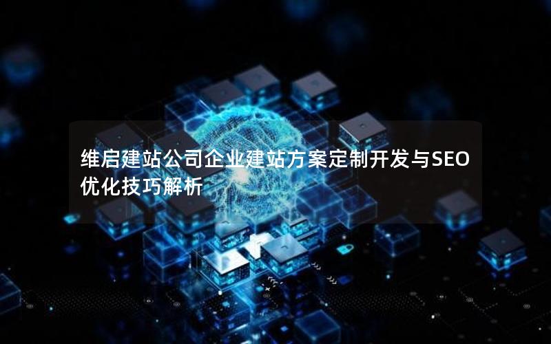 维启建站公司企业建站方案定制开发与SEO优化技巧解析
