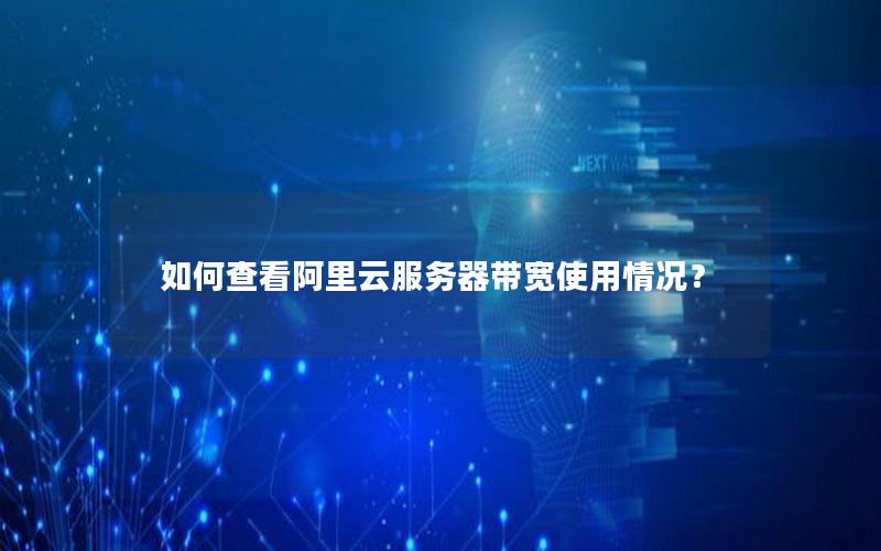 如何查看阿里云服务器带宽使用情况？