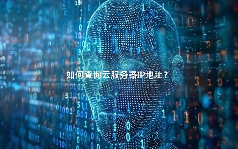 如何查询云服务器IP地址？