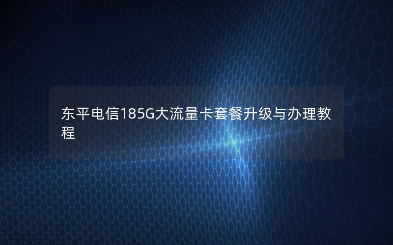 东平电信185G大流量卡套餐升级与办理教程