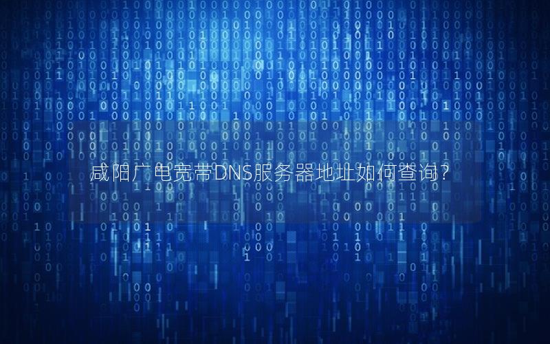 咸阳广电宽带DNS服务器地址如何查询？