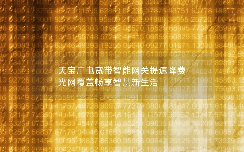 天宝广电宽带智能网关提速降费 光网覆盖畅享智慧新生活