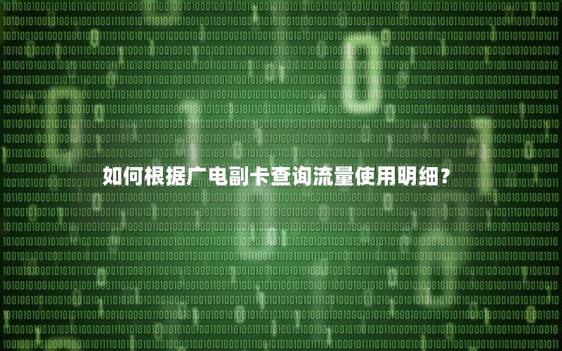 如何根据广电副卡查询流量使用明细？