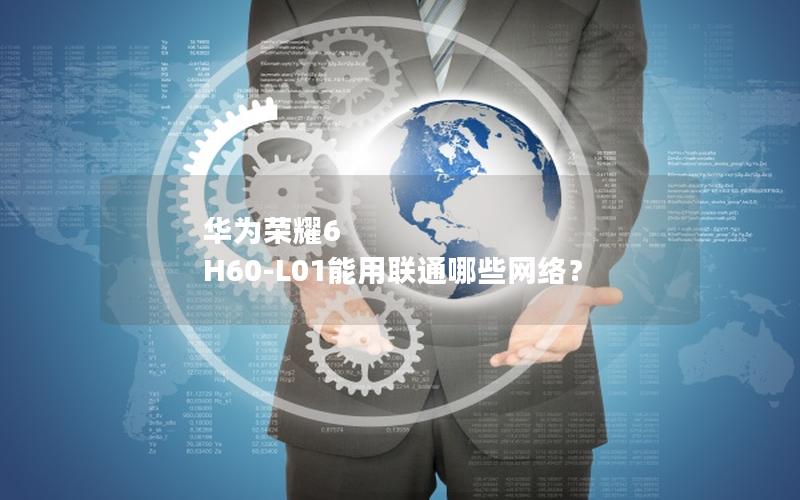华为荣耀6 H60-L01能用联通哪些网络？