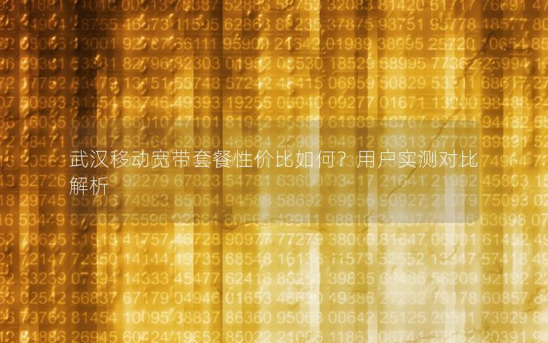 武汉移动宽带套餐性价比如何？用户实测对比解析
