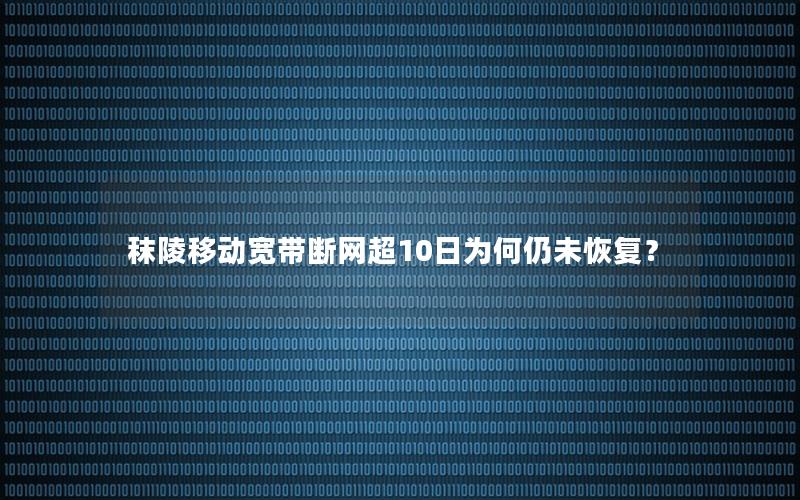 秣陵移动宽带断网超10日为何仍未恢复？