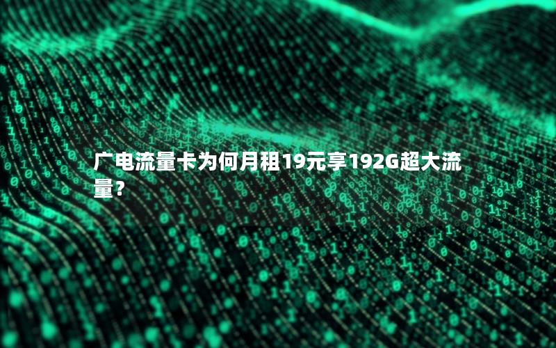广电流量卡为何月租19元享192G超大流量？