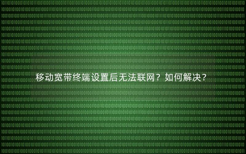 移动宽带终端设置后无法联网？如何解决？