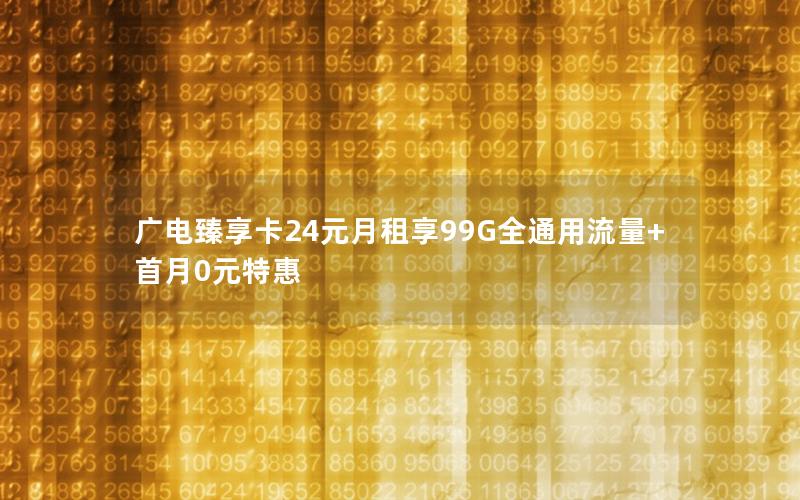 广电臻享卡24元月租享99G全通用流量+首月0元特惠