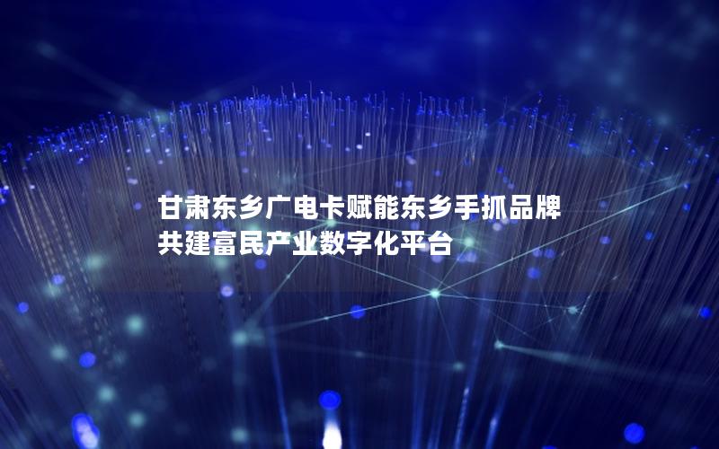 甘肃东乡广电卡赋能东乡手抓品牌 共建富民产业数字化平台